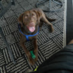 Meet your Posher, Nicholas